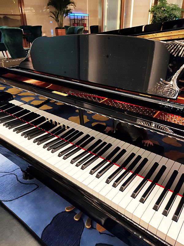 集美湖豪生酒店,集美湖豪生大酒店有几间房