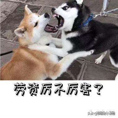 手脚发凉、月经不调、痛经，这些跟你吃凉的有关吗？