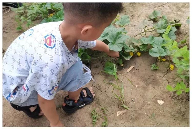 邯郸复兴区第一幼儿园环境,邯郸复兴区第一幼儿园是公立的吗