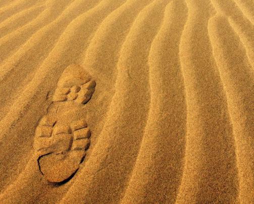 沙漠中看到石头为啥要捡,沙漠上的石头有必要捡吗