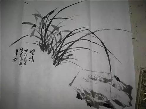国画入门山石画法兰花,兰花小鸡国画写意画法