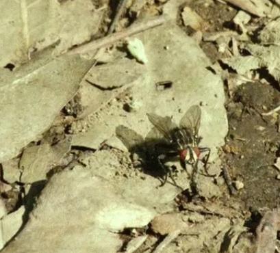 没想到日本国宝级画家，竟过着这样的生活！