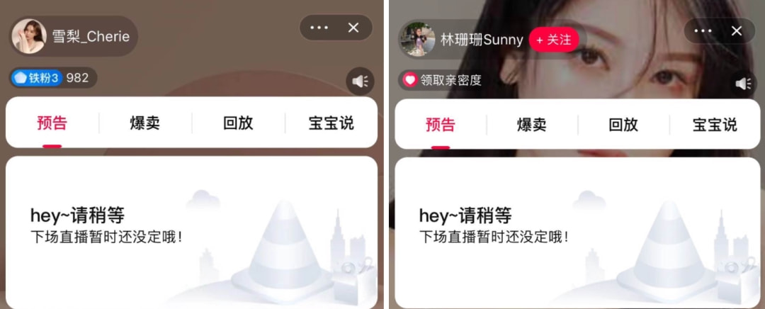 雪梨偷逃税对直播的影响,主播雪梨被追缴千万税款