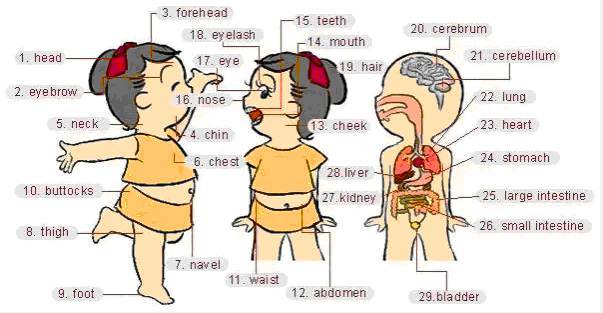 阅途有料丨30张场景单词图，教你记住高频生活词（建议收藏）
