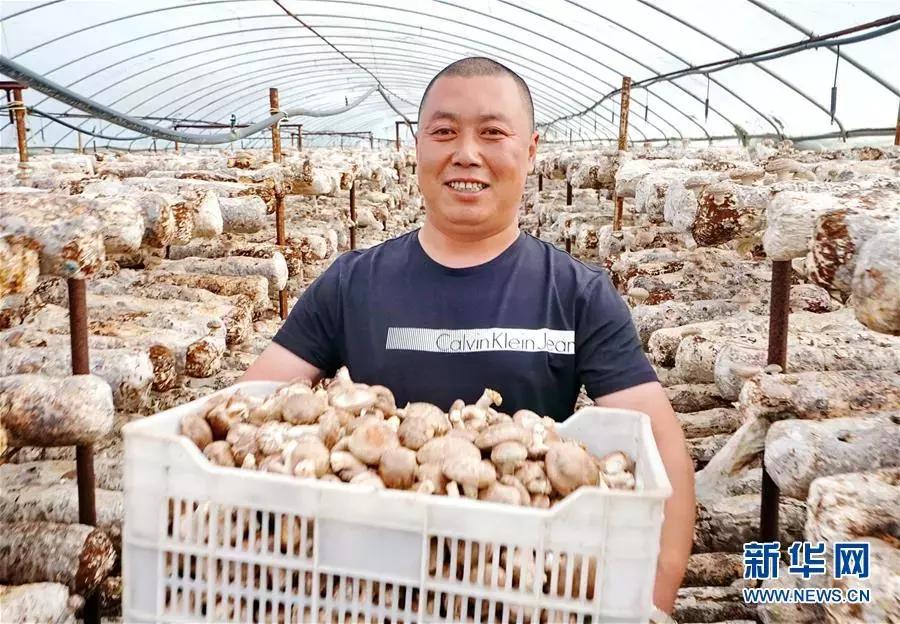 有颜值有气质才是乡村的新模样,既有颜值又有气质