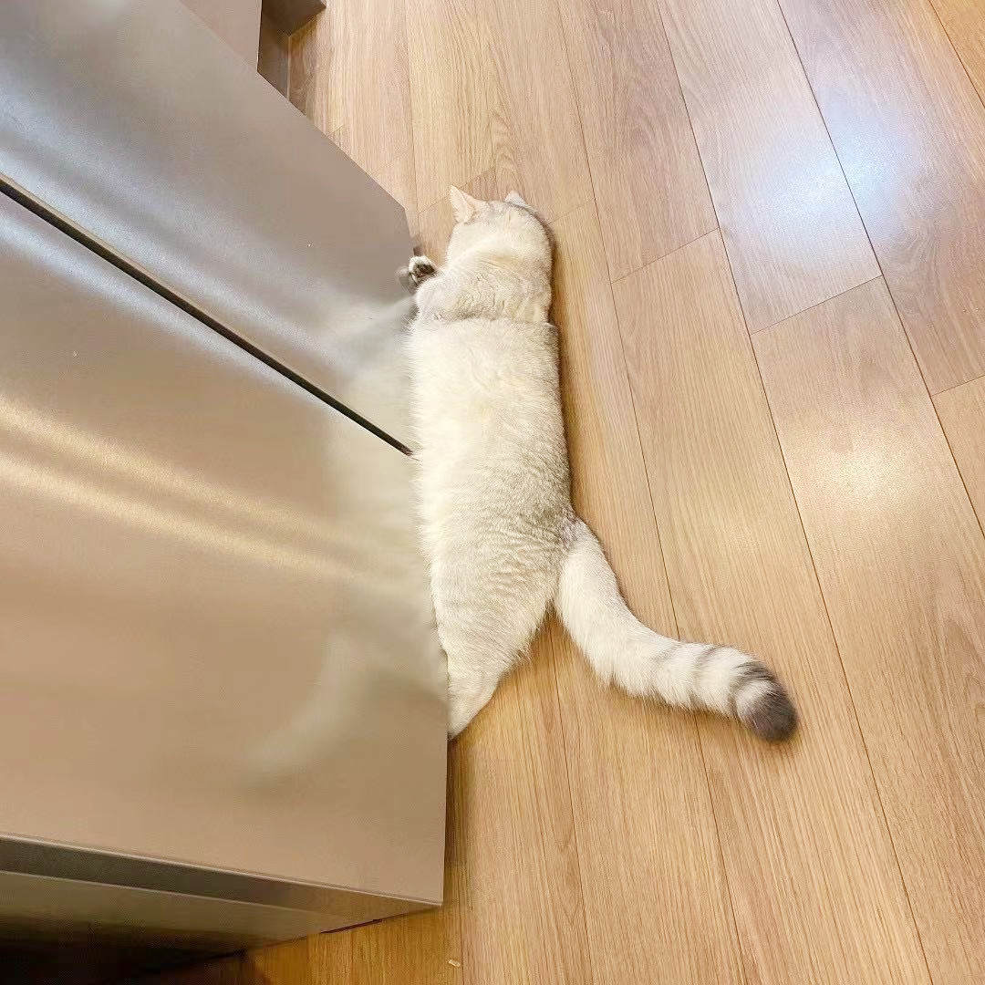 过年回家带点什么礼物实在,过年回家应该带点什么好吃的东西