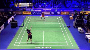 金秋诗画（学羽精华33.发力技巧）