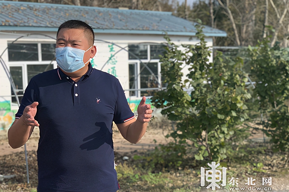 「走进我们的幸福小康」大果榛子香“绿色银行”结出“致富果”