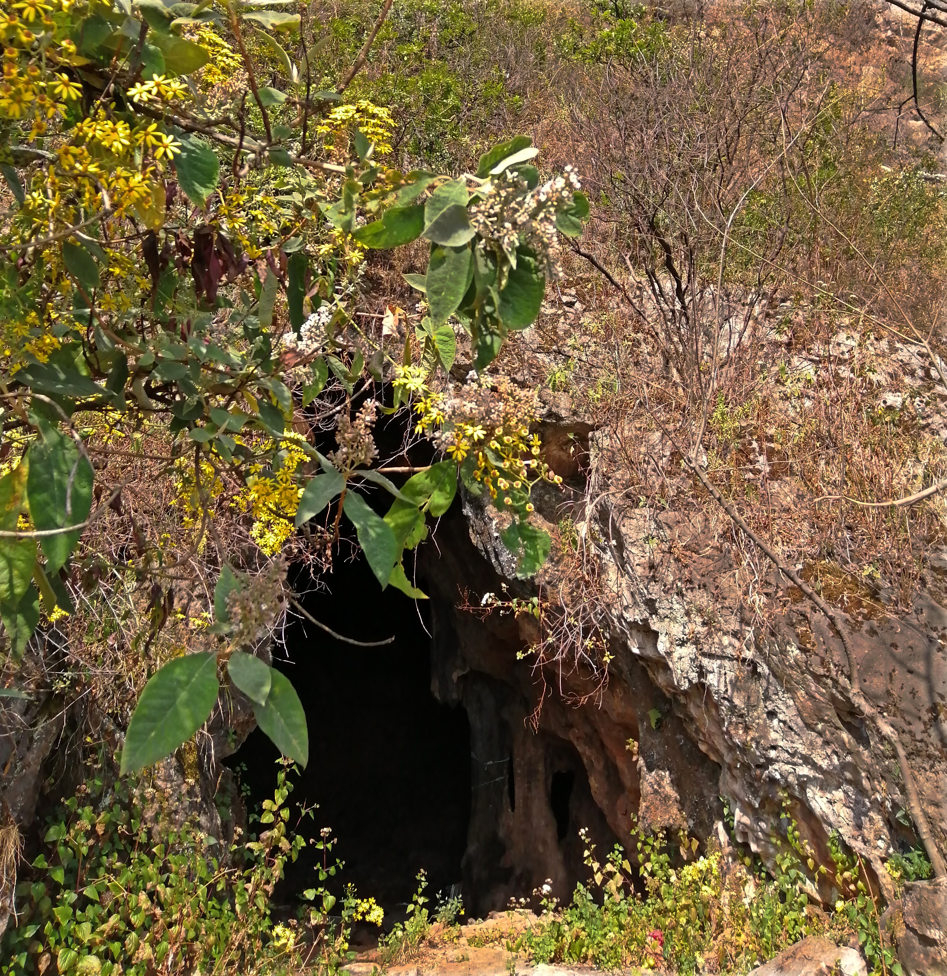 惊喜?悲哀?昆明三环徐霞客探寻过的两个溶洞,还是380年前样子