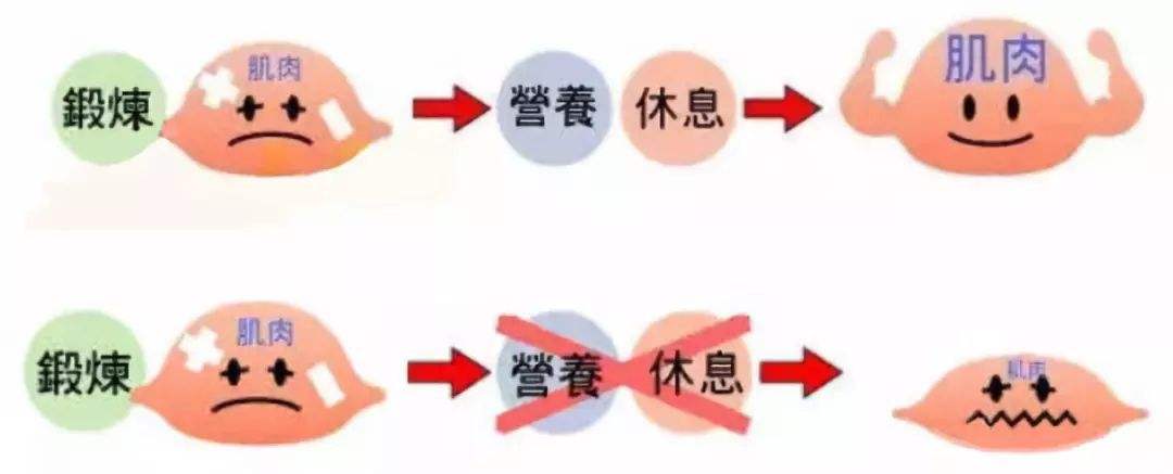 健身增肌需要吃什么补剂,胖人增肌推荐什么健身补剂