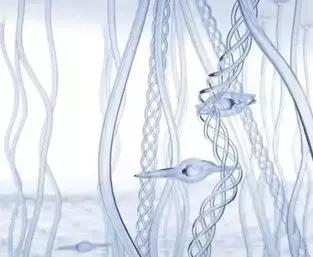 超人气卸妆,超级平价卸妆产品