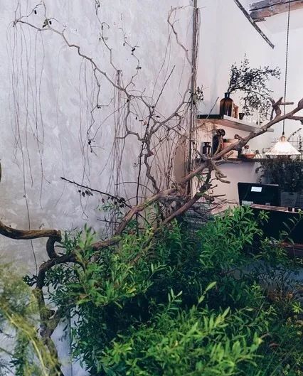 她辞去总监回家扶贫后续,她辞去总监回家扶贫结局