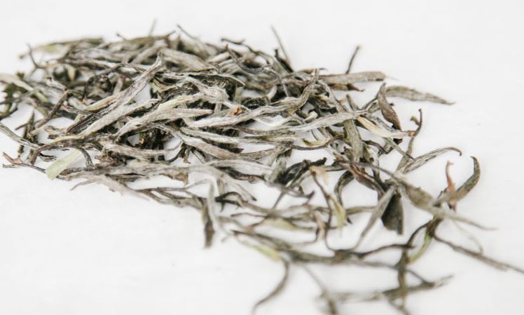 建阳白茶哪个品种最有名,建阳白茶简介资料