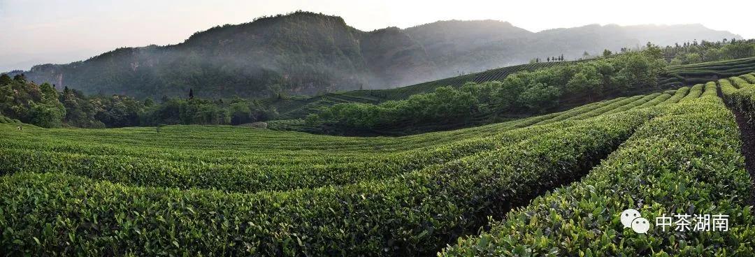 椹竟楂樺北浜戦浘缁胯尪,涓尪椹竟楂樺北缁胯尪