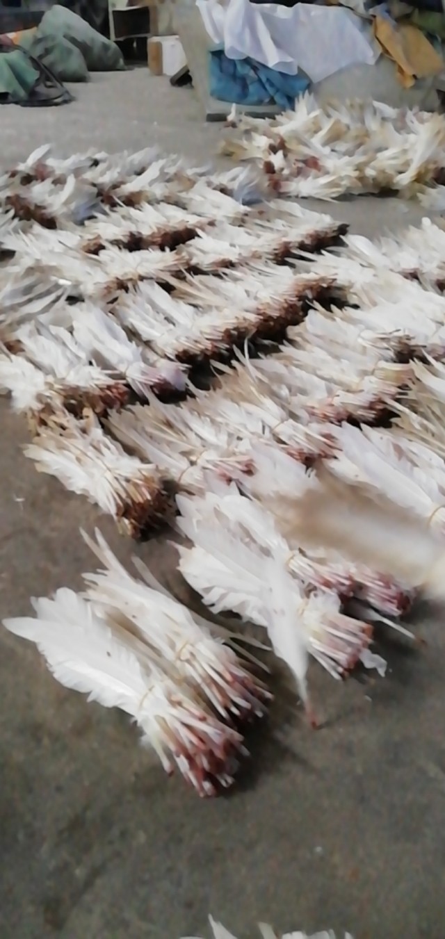 和yy05同档次的球,市面上对标yy05的球