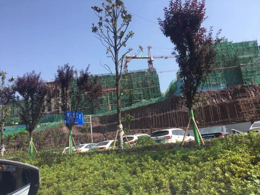 重庆蔡家一房一厅售价多少,重庆蔡家湾的房价