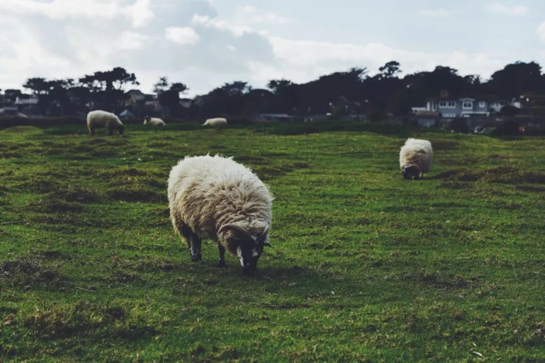 美国西海岸(碰撞)古巴哈瓦那