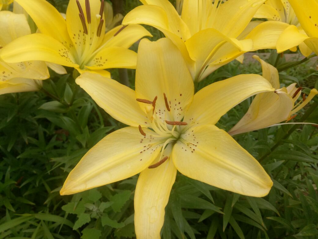 相见亦无事别后常思君什么意思,相见亦无事原诗