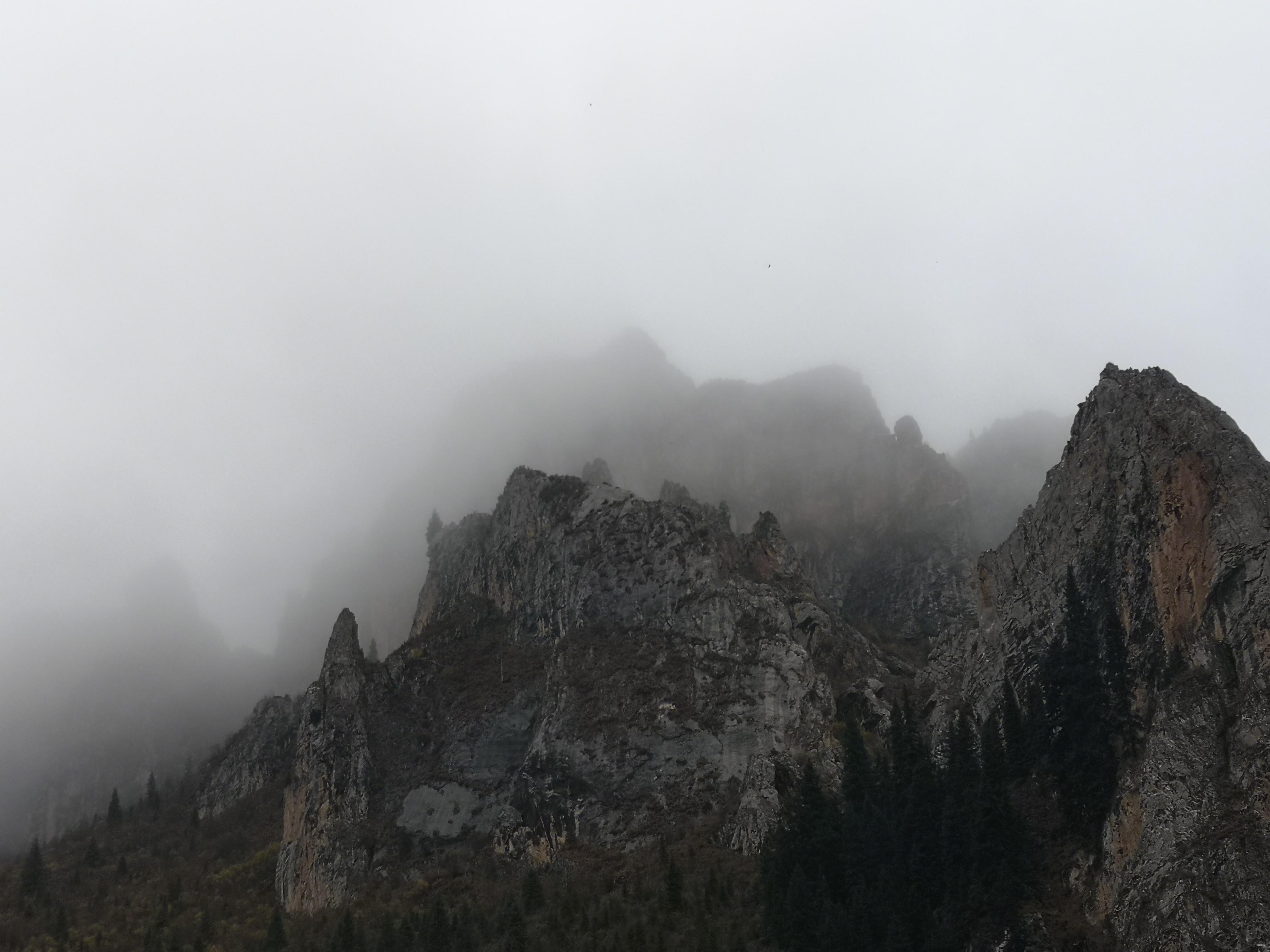 则岔石林游记,尕海湖和则岔石林