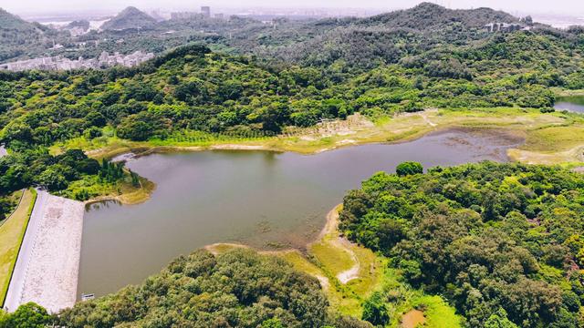 南沙黄山鲁森林公园夏季,南沙黄山鲁国家森林公园游玩攻略