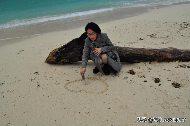 春节海洋旅游攻略,新春旅游推荐2-3天游