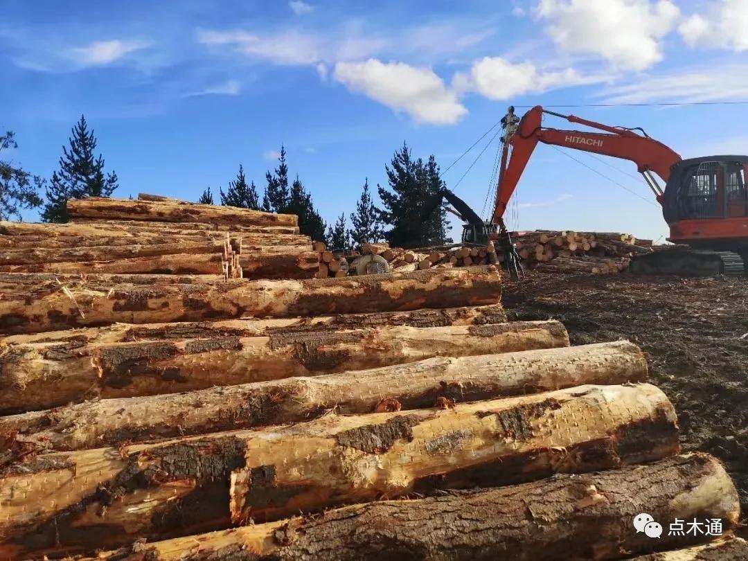 黑龙江落叶松木材价格多少钱一吨,2021木材涨价木材价格走势图