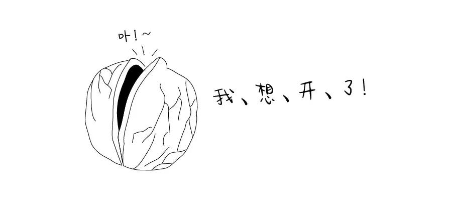 养生不再是中老年人的专利,养生不只局限于枸杞