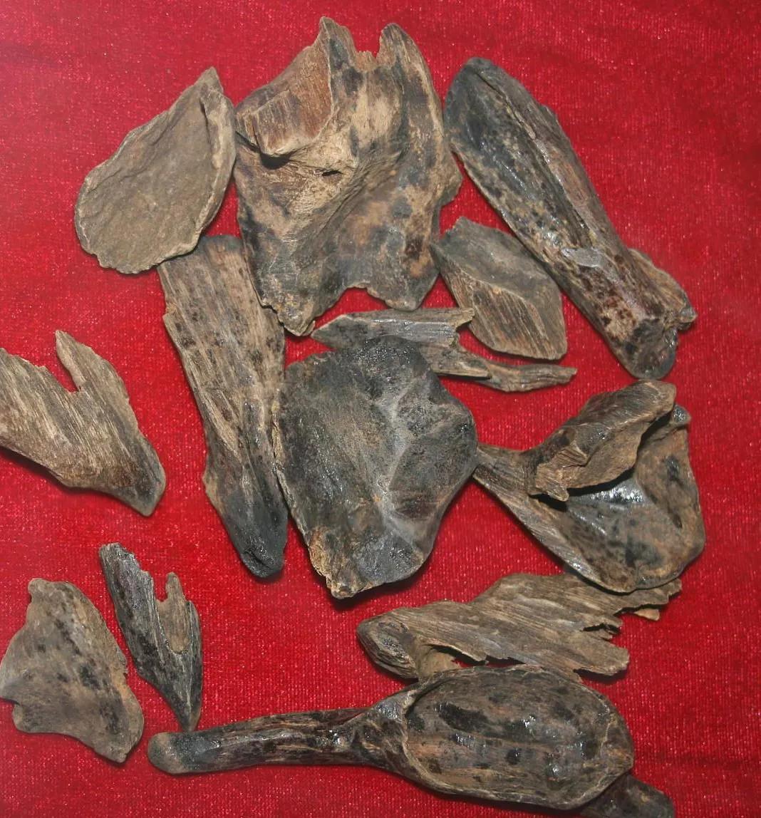 日本市场有假沉香吗,奇楠沉香只有在东南亚才有吗