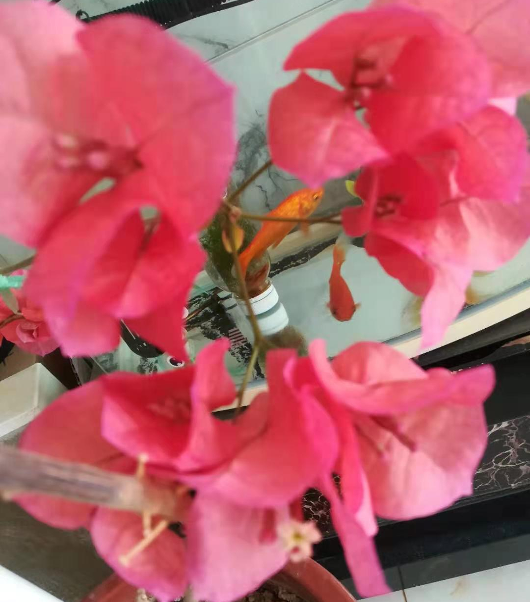 邯郸教育新学期新征程,邯郸市教育大变革