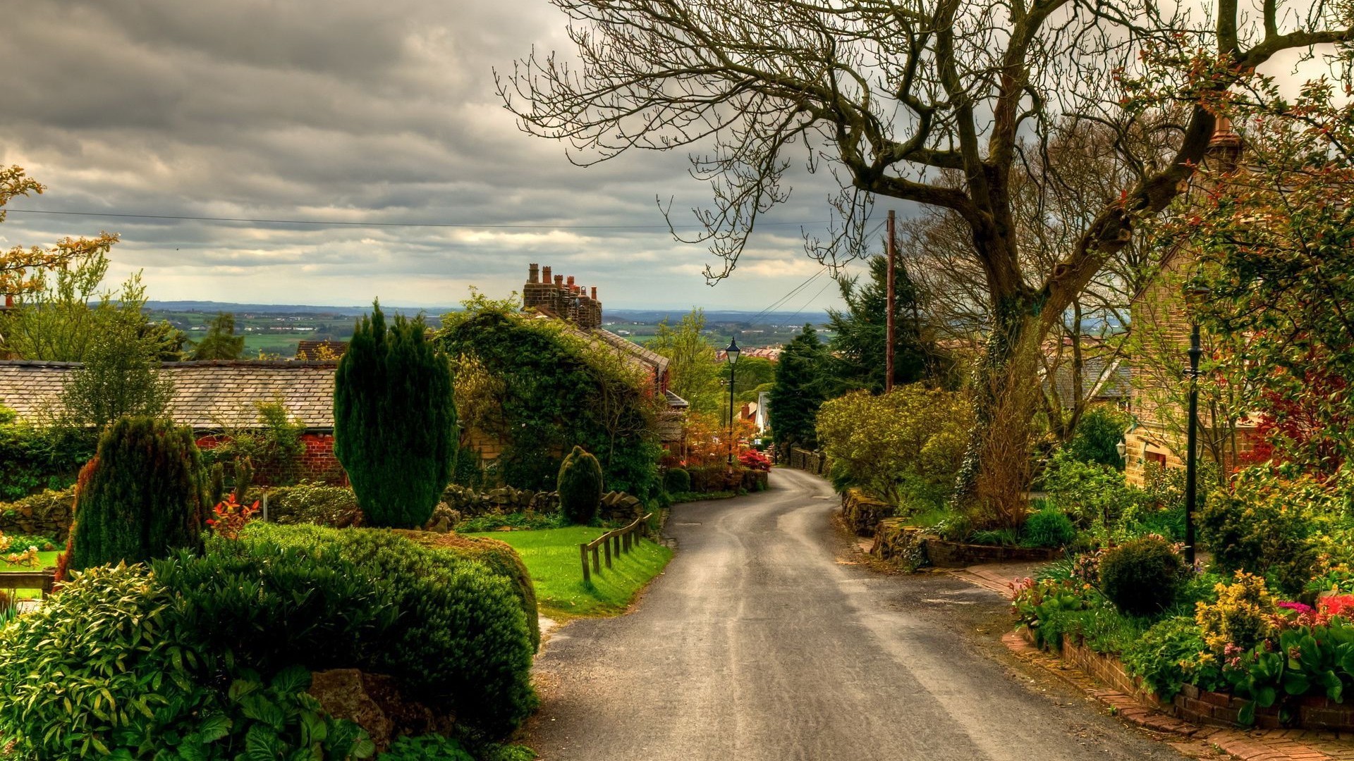 自信骄傲狮子座,自信骄傲的狮子座