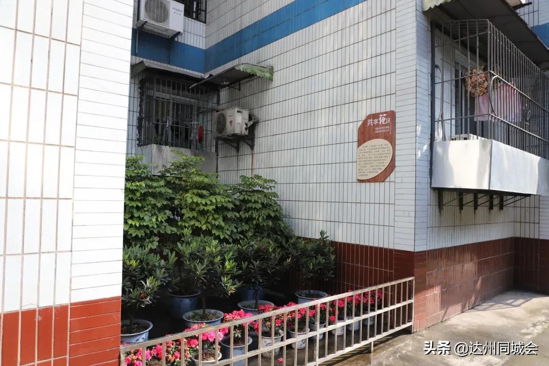 老旧小区换新貌居民乐享新生活,老小区焕然一新