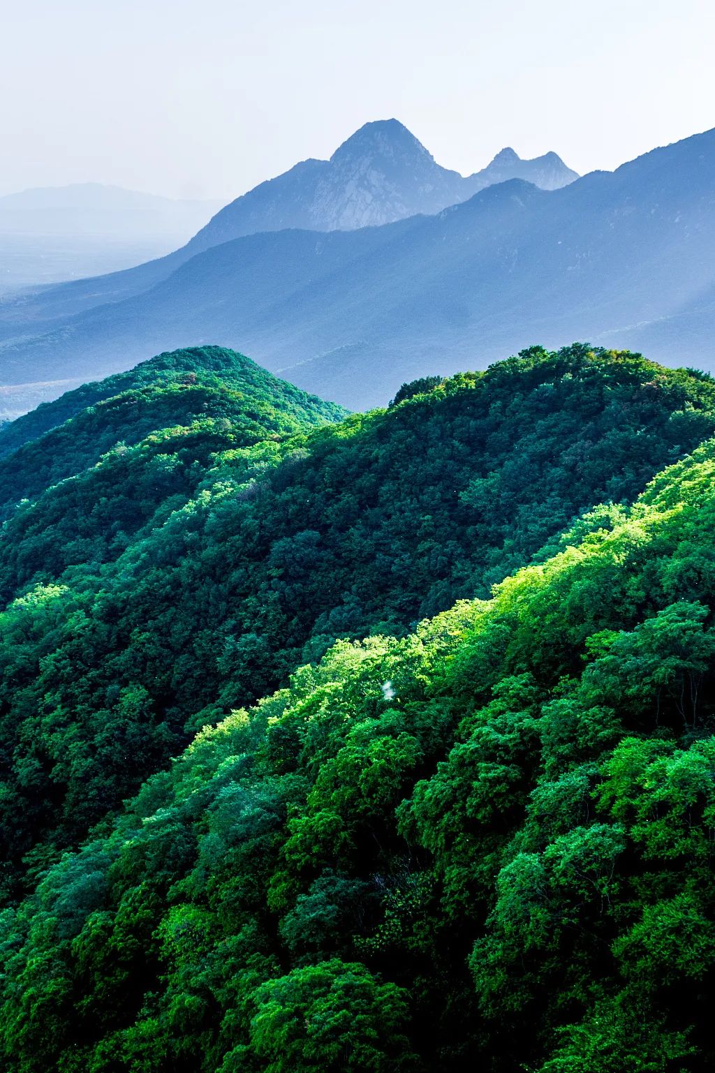 什么是郑州市,什么是郑州