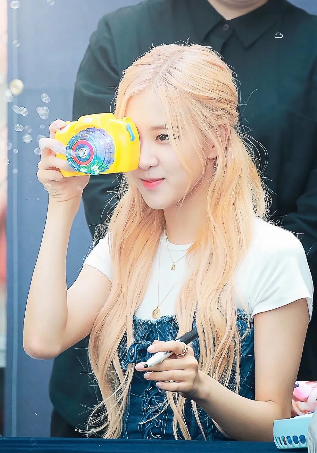 澳洲野玫瑰怎么来的,澳洲野玫瑰蓝玫瑰