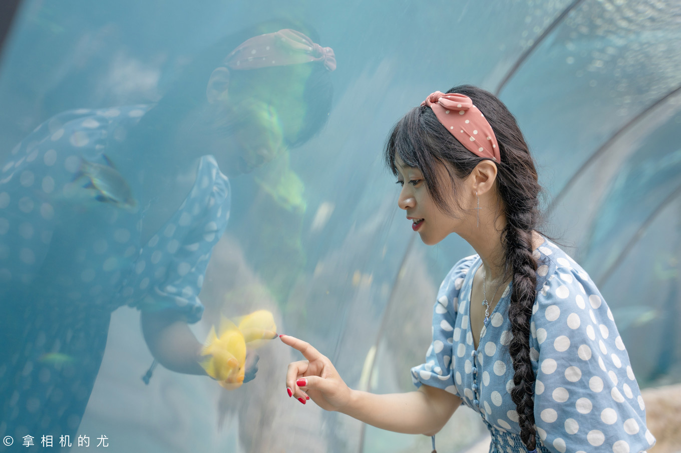 珠海横琴长隆海洋王国游玩全攻略,珠海长隆海洋王国跟香港海洋公园