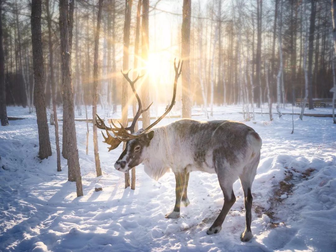 8个适合一个人去旅行的旅游圣地,一个人去的人少景美的小众旅行地