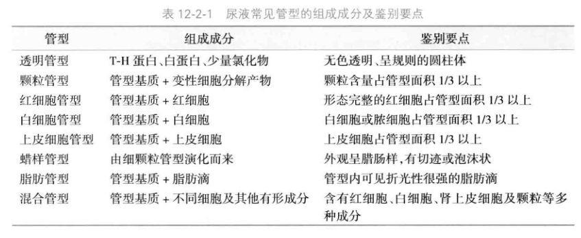 十分钟教你看懂尿常规,手把手教你看懂尿常规