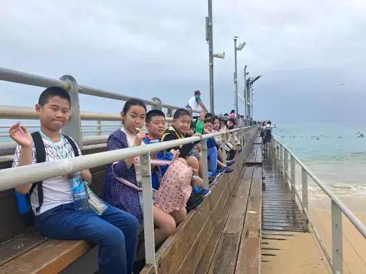 澳大利亚海洋生物旅游,澳大利亚海上游