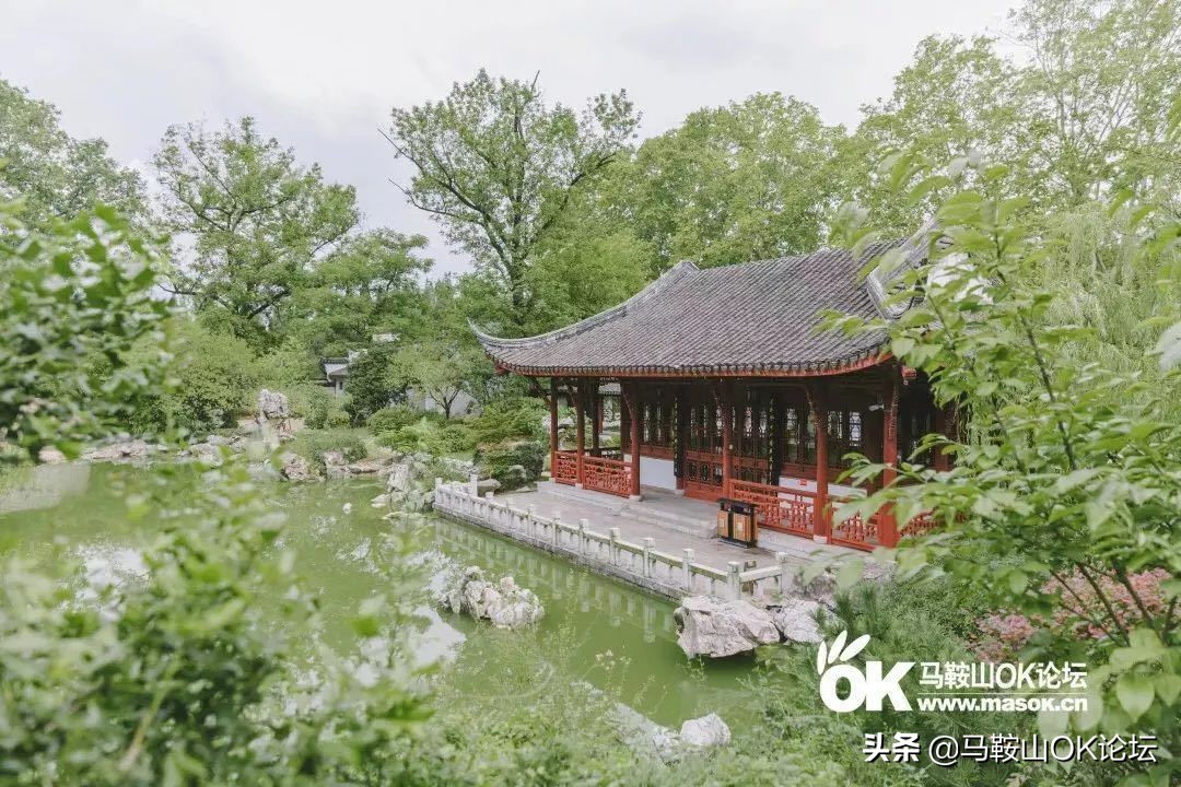 马鞍山在岗平均工资,马鞍山上年度在岗职工月平均工资