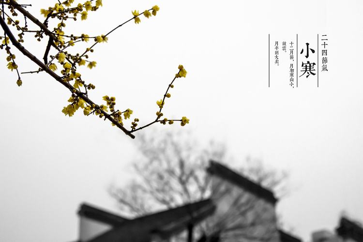 关于小寒节气的诗句有哪些,二十四节气小寒诗词精选30首