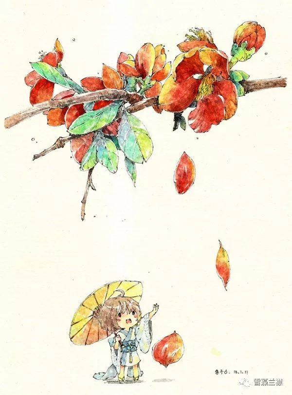 雪藻兰,雪藻兰独特作品