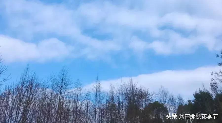 马祖岩人文公园大概多少公里,马祖岩人文公园夜光路