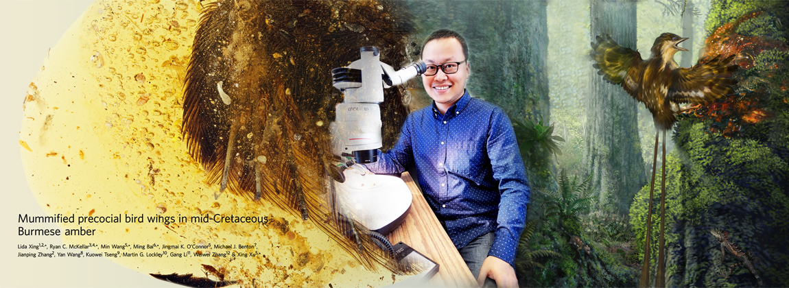 恐龙的特征和恐龙的外形特点,4-6厘米的六角恐龙长啥样