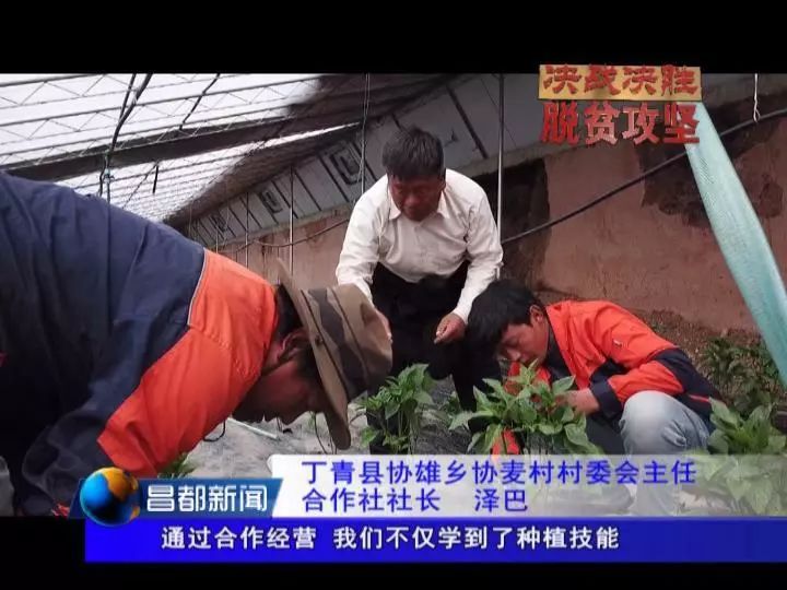 深耕生态产业助力脱贫攻坚,决战决胜脱贫攻坚产业扶贫新模式