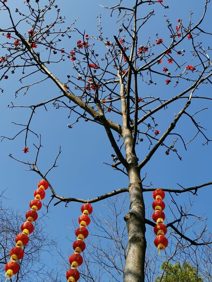 四面青山皆入画羊城无日不飞花白云山游记