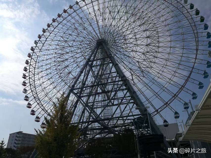 上海游轮去日本攻略,上海去日本的邮轮旅游攻略