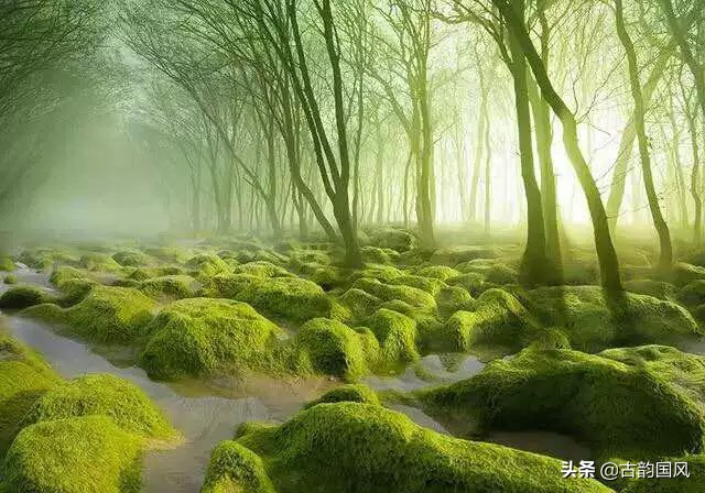 诗中有画画中有诗是谁评论王维的,王维诗中有画画中有诗是谁评价的