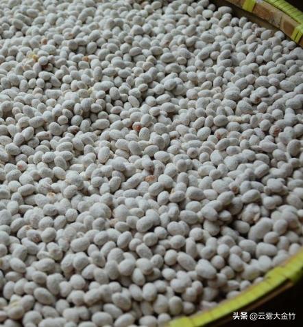 家庭自酿黄豆酱(酱油)-感受食品发酵的神奇