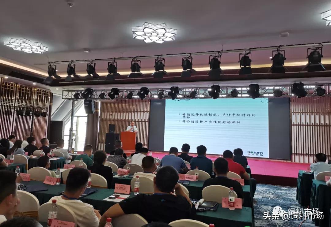 山东活力集团,长清区活力集团