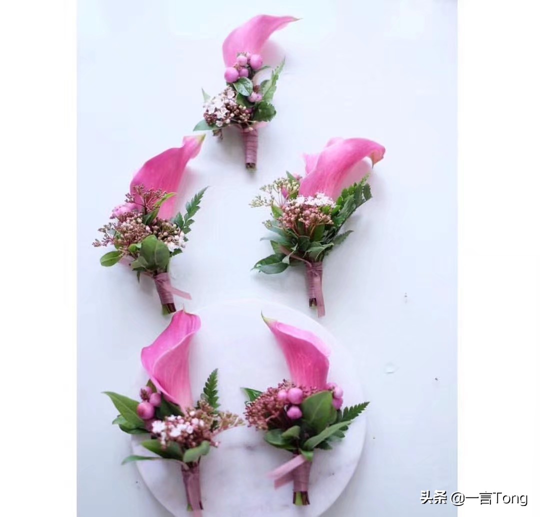 高贵雅致马蹄莲,高贵优雅马蹄莲永生花