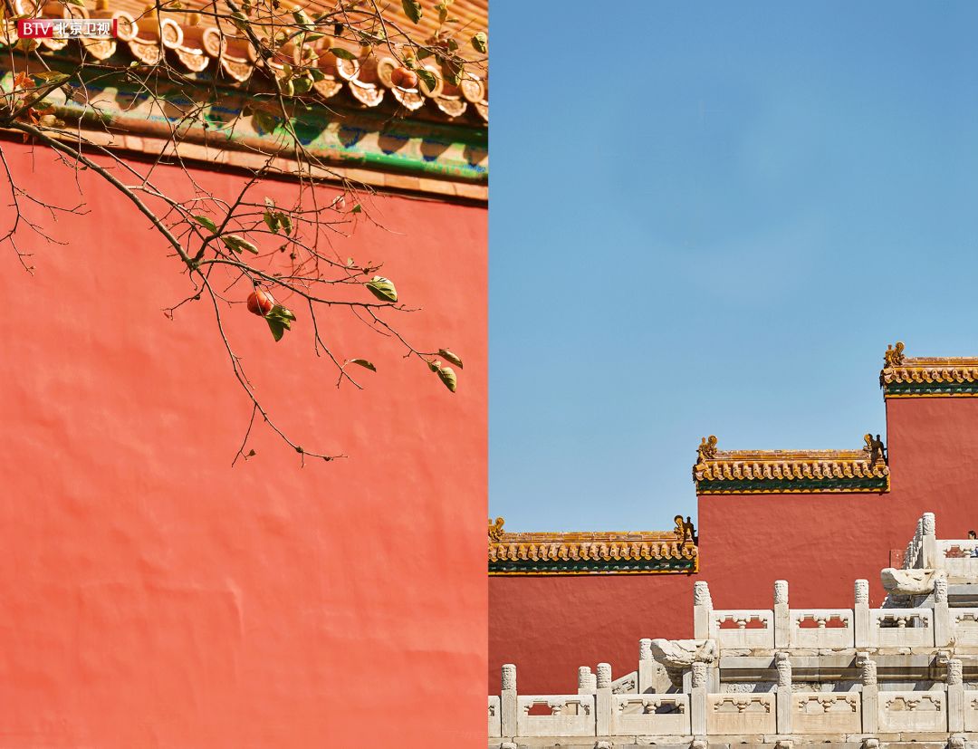 过去老师拖着我去的博物馆,现在成了我的买买买胜地?